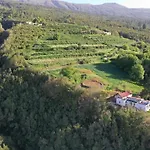 El Pino Centenario 8 * 라오로타바