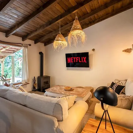 El Pino Centenario 8 *