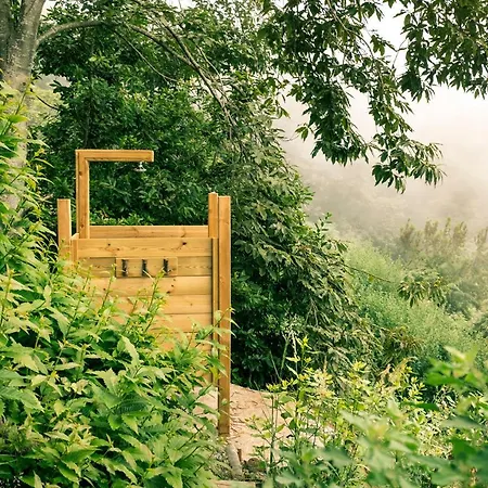 Villa El Pino Centenario 8