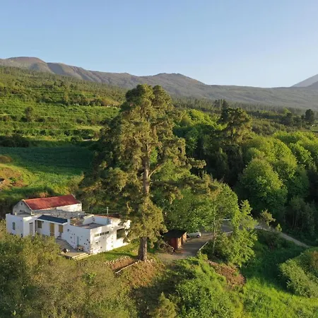 El Pino Centenario 8 Villa La Orotava