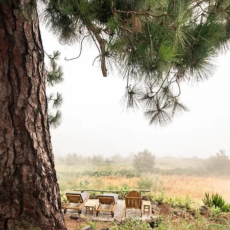 El Pino Centenario 8 Villa