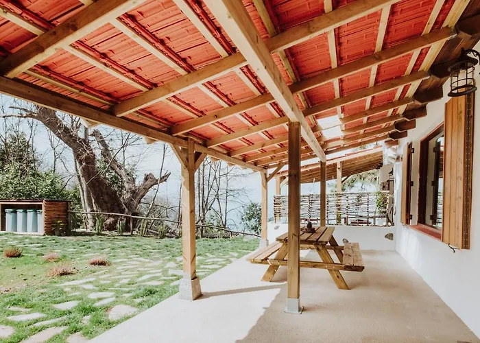 El Pino Centenario 8 Villa La Orotava