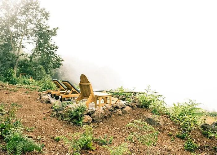 El Pino Centenario 8