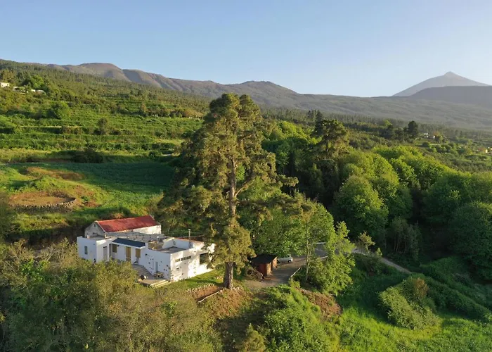 El Pino Centenario 8 Villa La Orotava