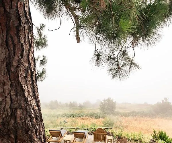 El Pino Centenario 8 Villa