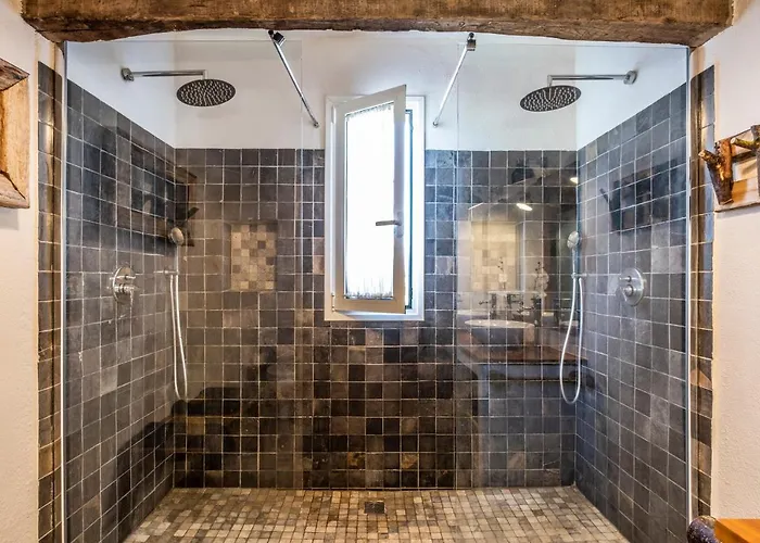 El Pino Centenario 8 *