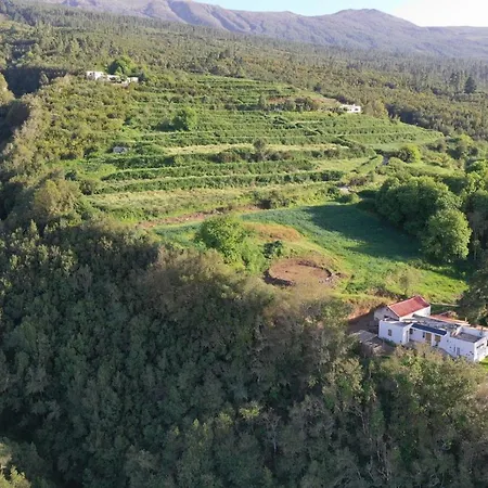 El Pino Centenario 8 * Ля Оротава