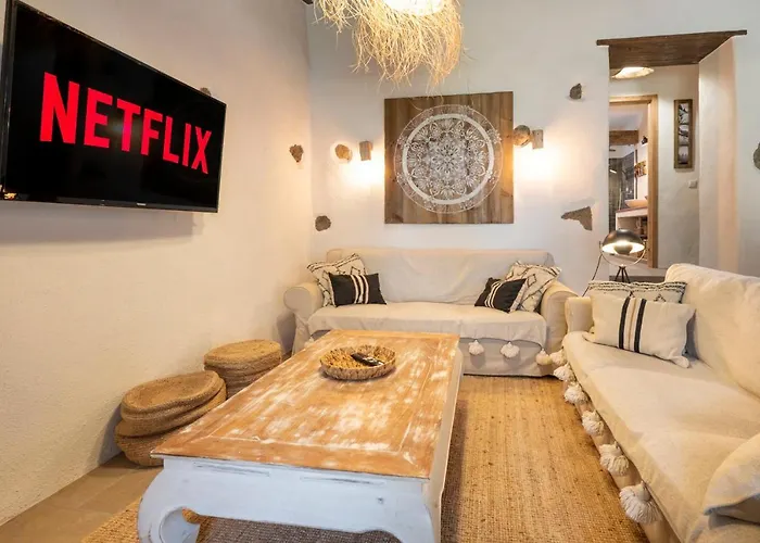 El Pino Centenario 8 Vila