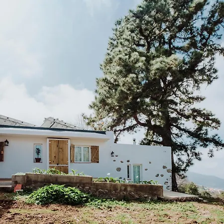 Villa El Pino Centenario 8 *